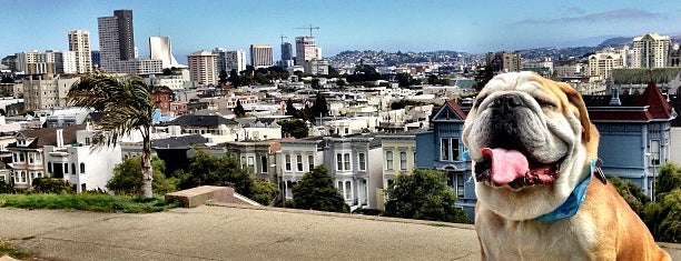 Alta Plaza Park is one of San Francisco's Greatest Parks.