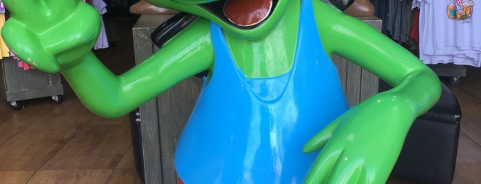 Señor Frog's is one of Mexico.