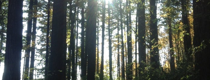 Hoyt Arboretum is one of Road Trip: SEA — PDX.