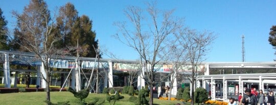 よこはま動物園 ズーラシア is one of カピバラ動物園.
