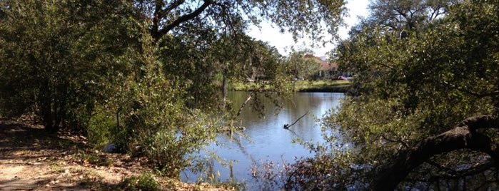 New Orleans City Park is one of New Orleans Favorites.