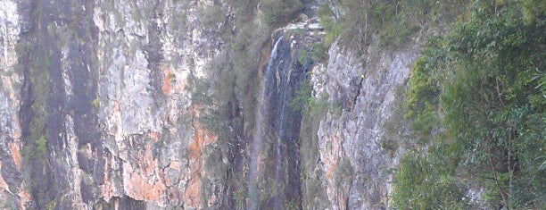 Purling Brook Falls is one of Australia- Springbrook Qld/NSW border.