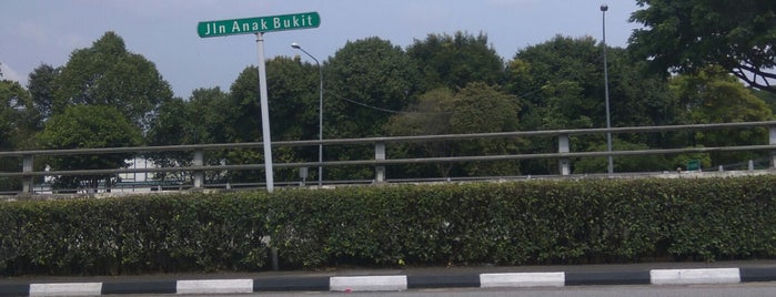 Anak Bukit Flyover is one of Non Standard Roads in Singapore.