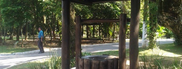 Jardim Botanico Chico Mendes is one of สถานที่ที่ Giovanna ถูกใจ.