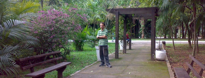 Jardim Botanico Chico Mendes is one of Brasil, VOL I.
