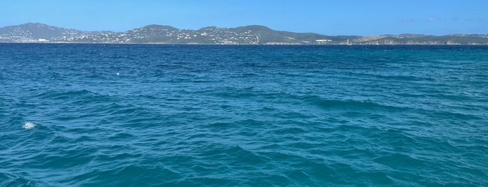 Buck Island Turtle Cove is one of St. Thomas.