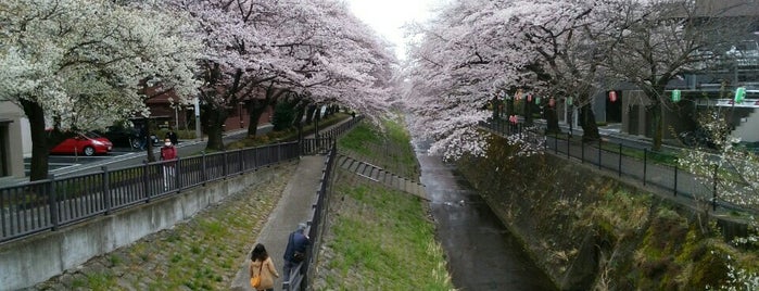 落合橋 is one of Lugares favoritos de Sigeki.