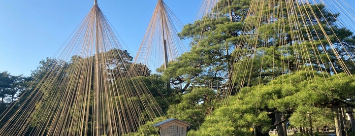 Karasakinomatsu Pine is one of 石川探訪.