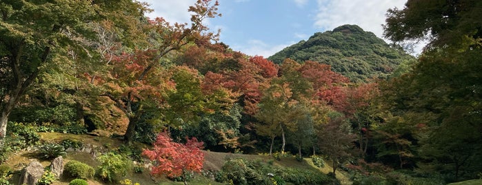 清水寺 本坊庭園 is one of 観光 行きたい.