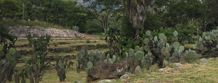Jardín Mexicano is one of Posti che sono piaciuti a Carlos.