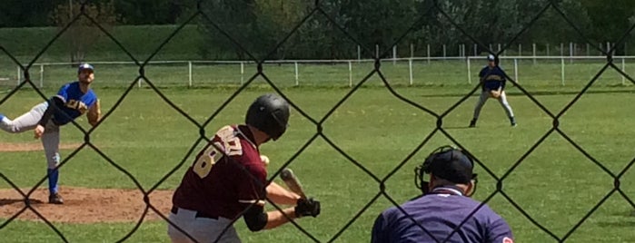 Baseball pálya is one of Baseball fields.