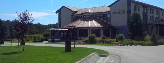 Forest Hills Biohotel & Golf is one of Magyaro..