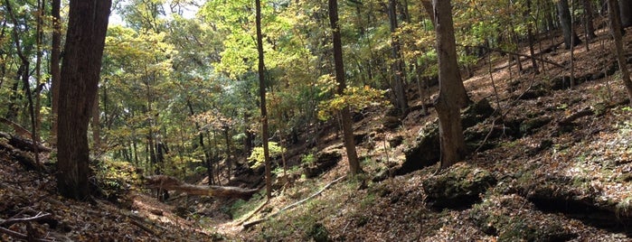 Rockwood Reservation Lime Kiln Trail is one of Locais curtidos por Doug.