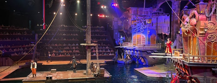 Pirates Voyage Dinner & Show is one of Tempat yang Disukai Chad.