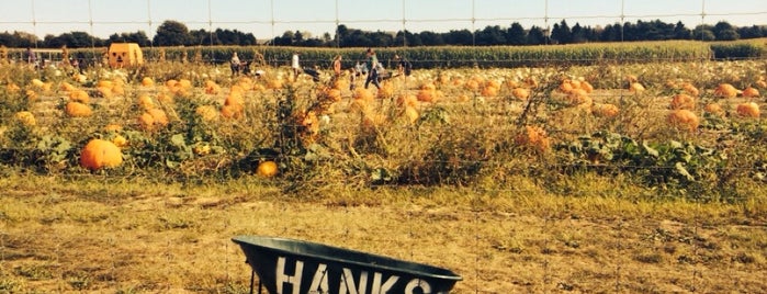 Hank's Pumpkintown is one of Gaudinessさんのお気に入りスポット.