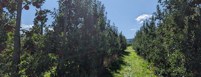 Kiyokawa Family Orchards is one of Weekends.