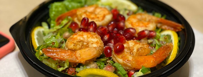 Shrimp Caption is one of Dammam.