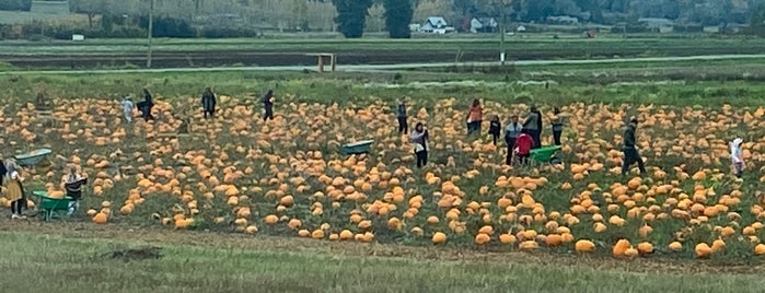 Michell's Farm Market is one of Canada.