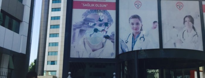 İstanbul Bilim Üniversitesi is one of hh.