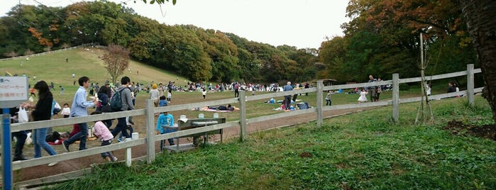 子供の遊び場 横浜 子供の遊び場 横浜