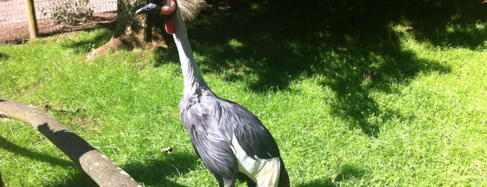 Vogelpark Steinen is one of DLE.