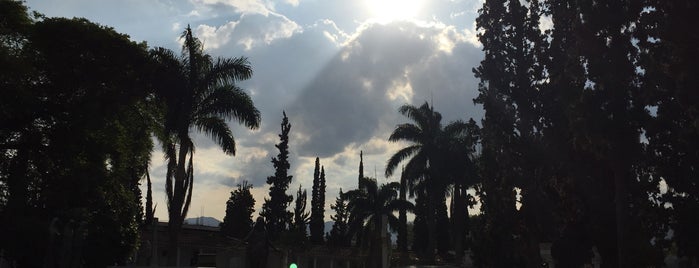 Museo Cementerio San Pedro is one of parque lleras.