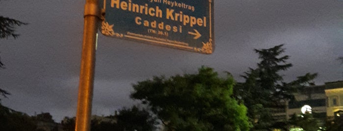 Heinrich Krippel Caddesi is one of Samsun Gezilecek-Yemek Yerleri.