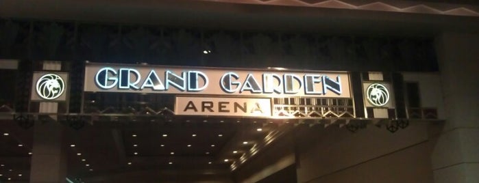 MGM Grand Garden Arena is one of Las Vegas Places I want to go.