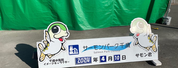 Michi no Eki Salmon Park Chitose is one of 車中泊.