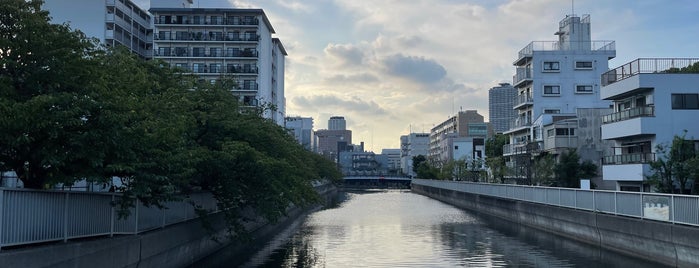 清澄橋 is one of 渡った橋（東京都区内）.