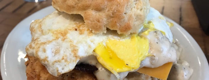 Maple Street Biscuit Company is one of Locais curtidos por Scott.