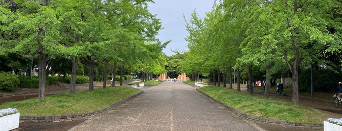 大泉緑地 is one of 公園.