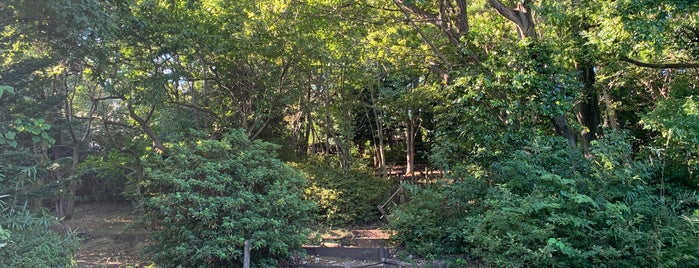 どんぐりの森公共緑地 is one of 公園.