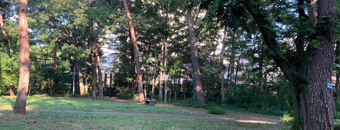 発想の森 is one of 公園.
