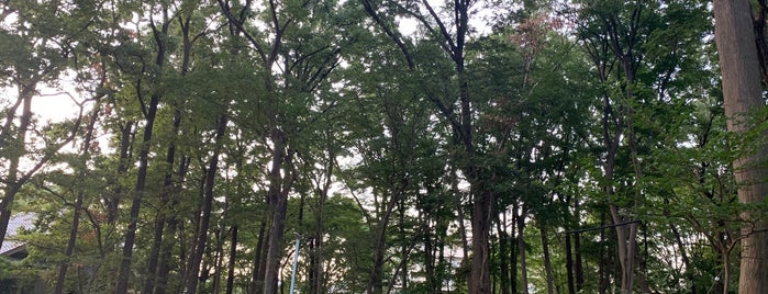 碧山森緑地保全地域 is one of 公園.