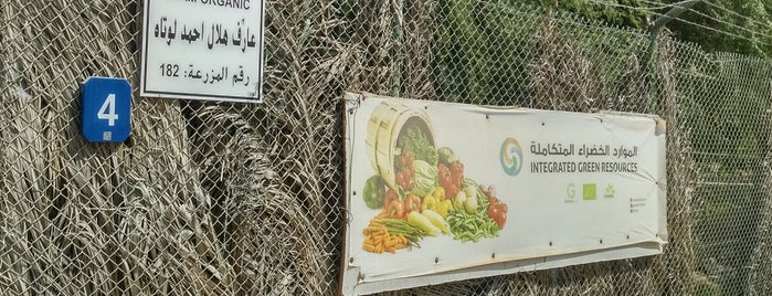 Al Rahba Organic Farm 182 is one of S15.
