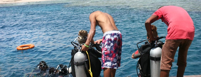 SEAFARI DIVING CENTER is one of ENJOY > Sport.