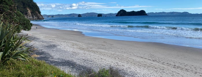 Hahei Beach is one of NZ.