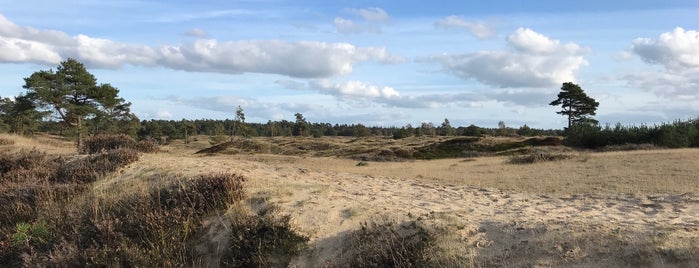 Nationaal Park Drents-Friese Wold is one of Guía del turista.