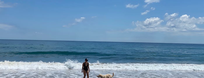 Mansion Beach is one of Block Island.