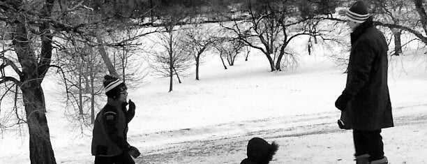 Sledding Hill North Pond is one of Skiing.