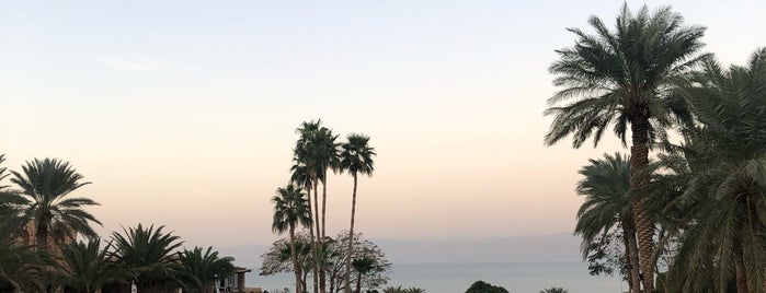 Mövenpick Resort & Spa Dead Sea is one of Locais curtidos por Garfo.