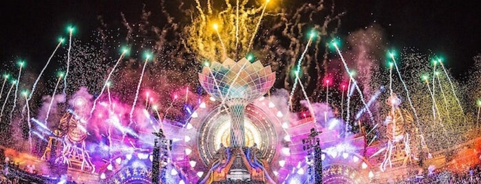 Electric Daisy Carnival is one of Lugares favoritos de Nadine.
