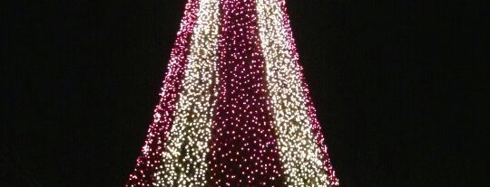 Santa's Enchanted Forest is one of Paddy 님이 좋아한 장소.