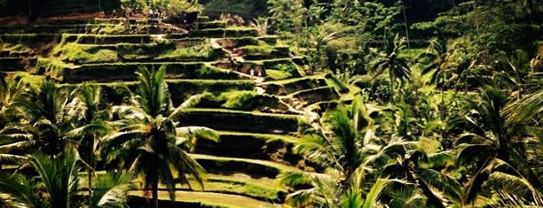 The Ubud Village Bali is one of Bali.