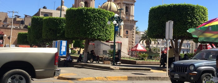 Plaza de Armas is one of Гвадалахара.