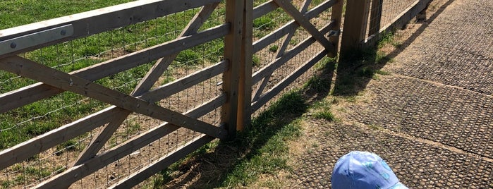 Lee Valley Park Farms is one of Zoos & Farms.