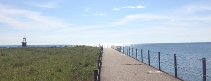 Farwell St. Pier is one of Lugares favoritos de Robert.