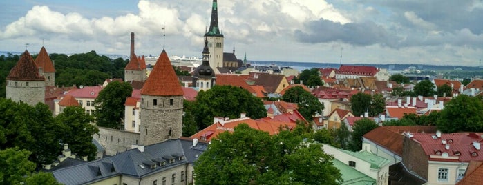 Patkuli vaateplatvorm is one of Tallinn.