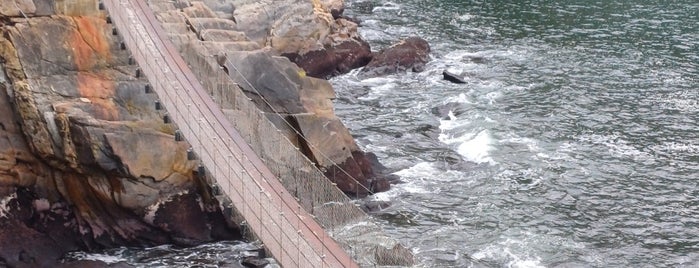 Stormsriver Mouth Suspension Bridge is one of Freizeitaktivitäten.